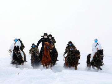 Los caballos del Coronavirus