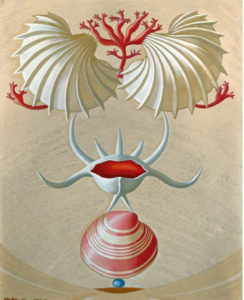 M. Mallo. Naturaleza Viva XII, 1943